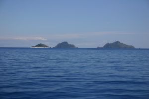 In the film Castaway, Tom Hanks...