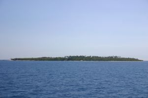 Bounty Island Bounty Island